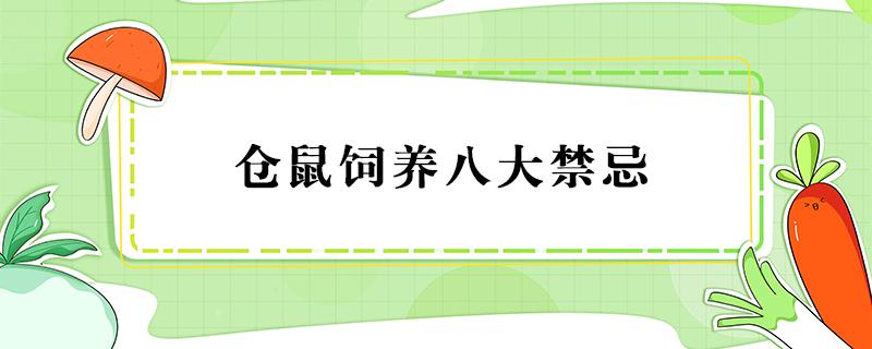 仓鼠饲养八大禁忌 仓鼠饲养八大禁忌千万别碰