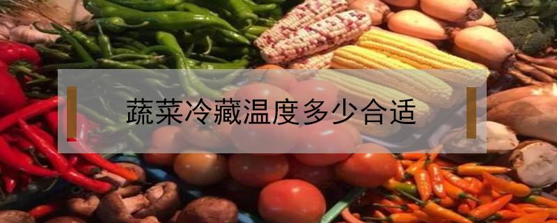 蔬菜冷藏温度多少合适 蔬菜冷藏最佳温度是多少