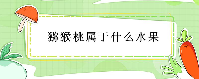 猕猴桃属于什么水果 猕猴桃属于什么水果种类