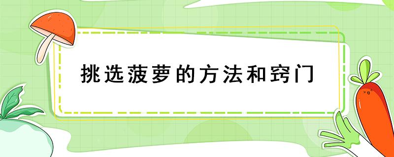 挑选菠萝的方法和窍门 菠萝选购技巧