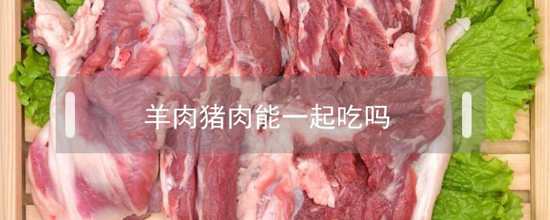 羊肉猪肉能一起吃吗（猪肉可以和羊肉一起吃吗）