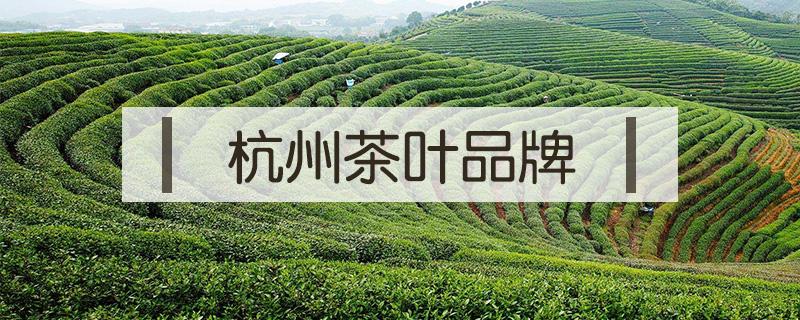 杭州茶叶品牌 杭州茶叶品牌店