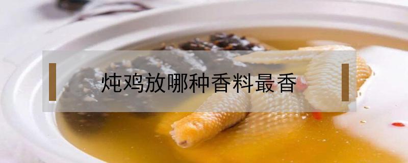 炖鸡放哪种香料最香 炖鸡用什么香料