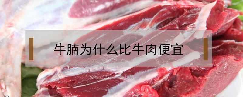 牛腩为什么比牛肉便宜（牛腩肉为什么那么便宜）