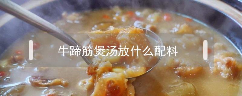 牛蹄筋煲汤放什么配料 煲牛筋汤用什么材料煲