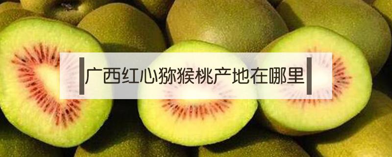 广西红心猕猴桃产地在哪里 广西红心猕猴桃多少钱一斤