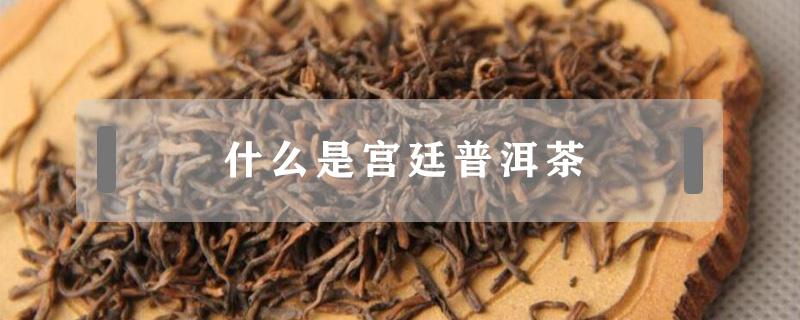 什么是宫廷普洱茶 宫廷普洱茶是什么茶