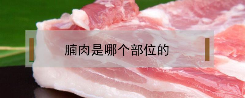 腩肉是哪个部位的 腩肉是什么部位