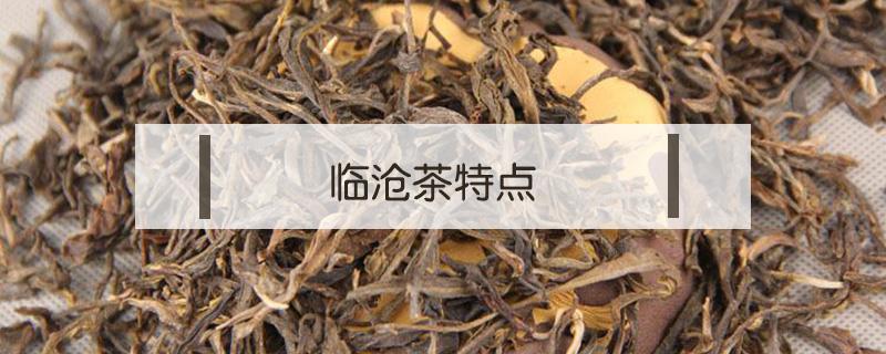 临沧茶特点（临沧茶特点口感）