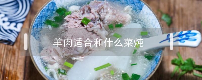 羊肉适合和什么菜炖 羊肉适合和什么菜炖汤