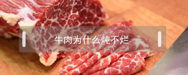 牛肉为什么炖不烂（红烧牛肉为什么炖不烂）