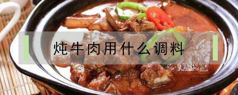 炖牛肉用什么调料（炖牛肉用什么调料好吃）