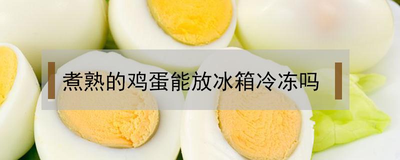 煮熟的鸡蛋能放冰箱冷冻吗（煮鸡蛋可以放冰箱冷冻吗）