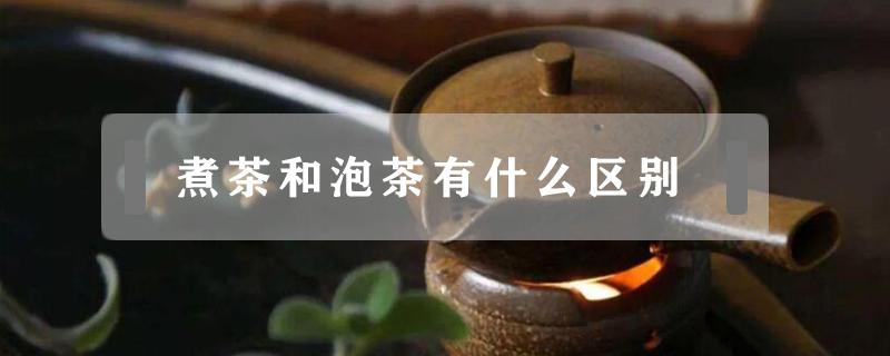 煮茶和泡茶有什么区别