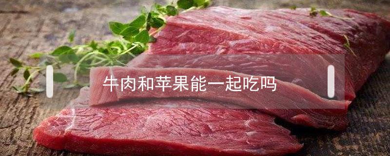 牛肉和苹果能一起吃吗（牛肉可以和苹果一起吃吗?）