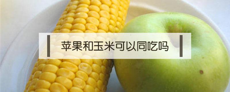 苹果和玉米可以同吃吗 苹果跟玉米能一起吃吗