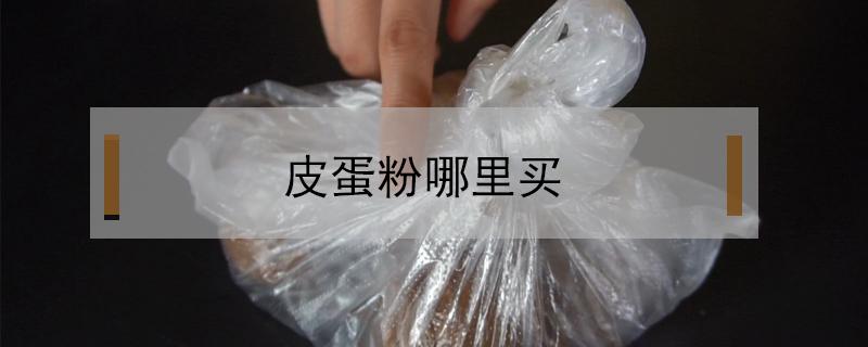 皮蛋粉哪里买（皮蛋粉在哪里买）