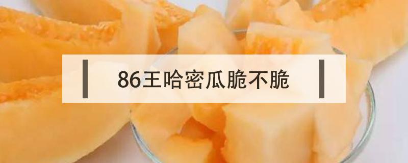 86王哈密瓜脆不脆 八六王哈密瓜甜吗