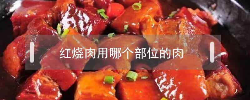 红烧肉用哪个部位的肉 红烧肉用哪个部位的肉最好