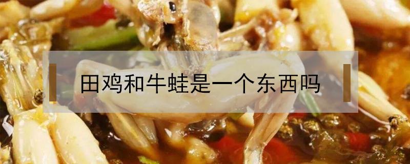 田鸡和牛蛙是一个东西吗（田鸡和牛蛙有什么不一样）