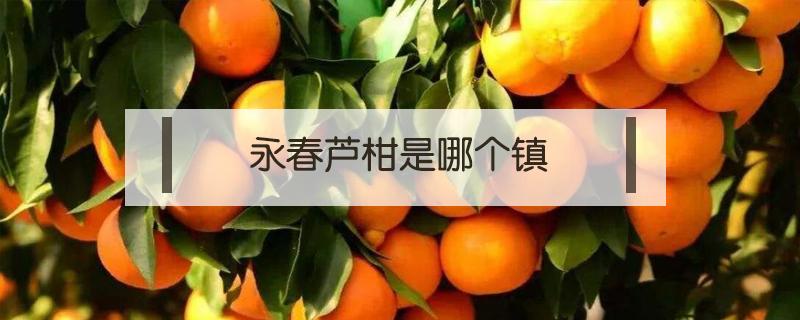 永春芦柑是哪个镇