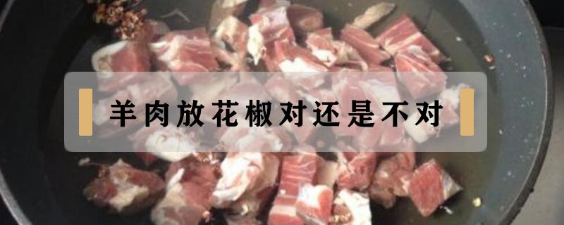 羊肉放花椒对还是不对 羊肉为啥不能放花椒