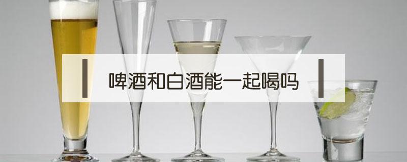 啤酒和白酒能一起喝吗 啤酒能和白酒一起喝么