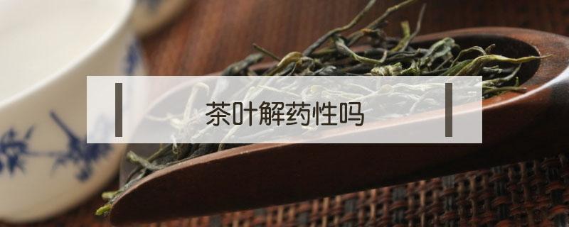 茶叶解药性吗 喝茶叶茶会解药性吗