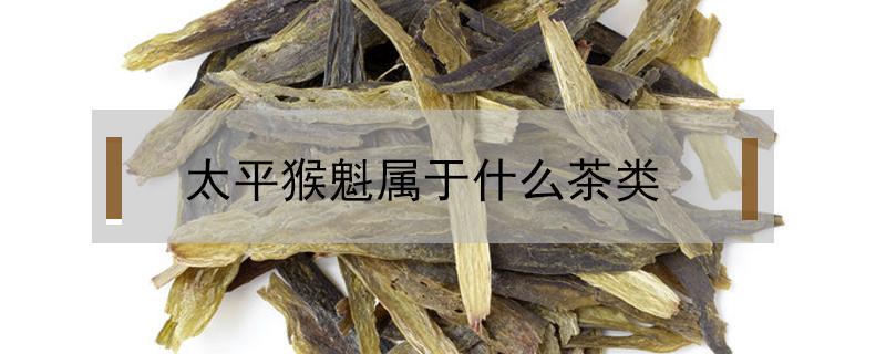 太平猴魁属于什么茶类（太平猴魁属于什么茶类?可以收藏吗?）