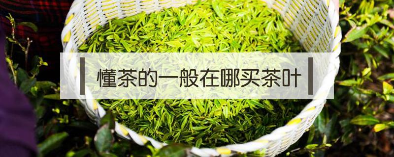 懂茶的一般在哪买茶叶（一般茶叶在哪里买）