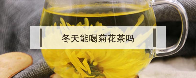 冬天能喝菊花茶吗 冬天能否喝菊花茶