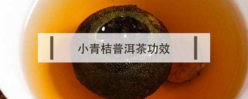 小青桔普洱茶功效（小青桔茶作用）