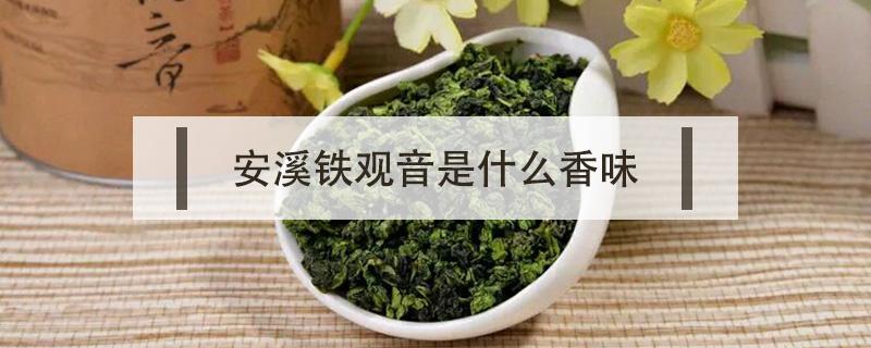 安溪铁观音是什么香味