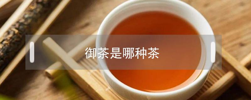 御茶是哪种茶