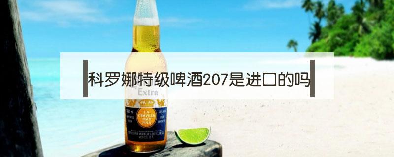 科罗娜特级啤酒207是进口的吗 科罗娜特级啤酒207ml多少钱一瓶