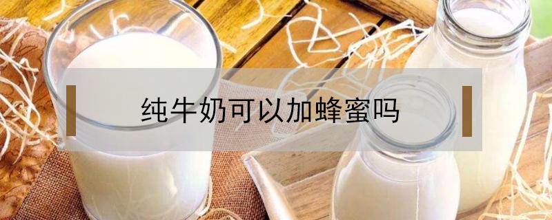 纯牛奶可以加蜂蜜吗（纯牛奶可以加蜂蜜吗?）