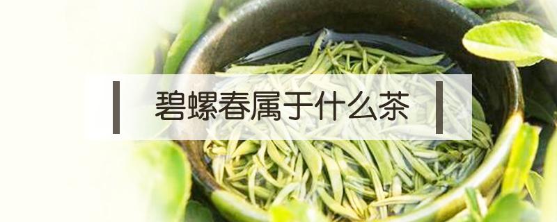 碧螺春属于什么茶（白茶属于什么茶）