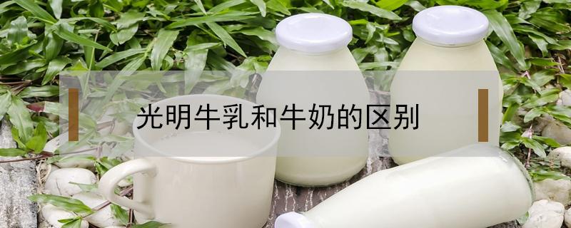 光明牛乳和牛奶的区别 光明牛奶和阳光牛奶的区别