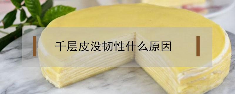 千层皮没韧性什么原因 为什么我做的千层皮不软?