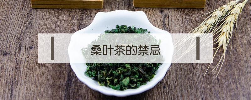 桑叶茶的禁忌