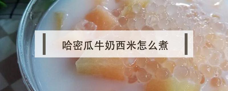 哈密瓜牛奶西米怎么煮