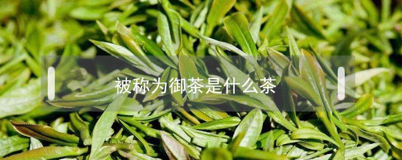 被称为御茶是什么茶（十大名茶之一被称为御茶）