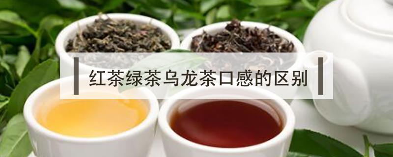 红茶绿茶乌龙茶口感的区别（乌龙茶和红茶的口感区别）