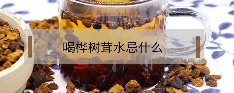 喝桦树茸水忌什么（喝桦树茸水忌什么食物）