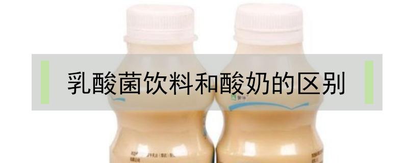 乳酸菌饮料和酸奶的区别（乳酸菌饮料和牛奶的区别）