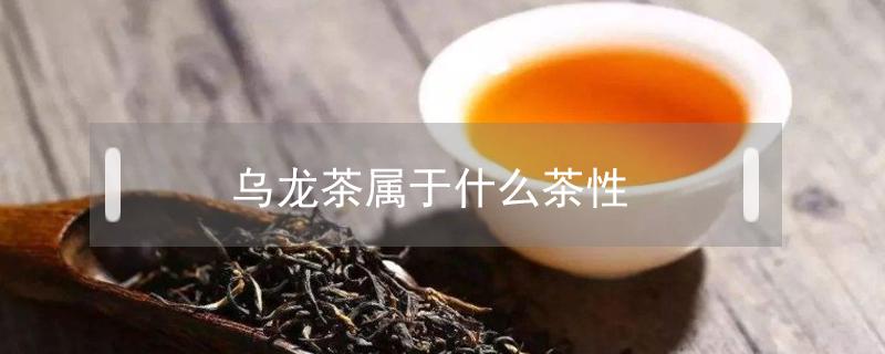 乌龙茶属于什么茶性 乌龙是属于什么性质的茶