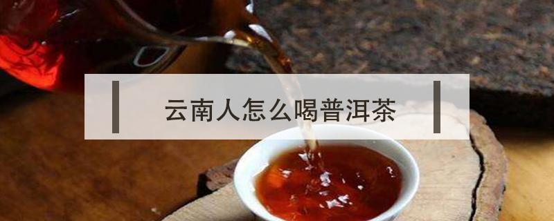 云南人怎么喝普洱茶 云南人为什么不喝普洱茶