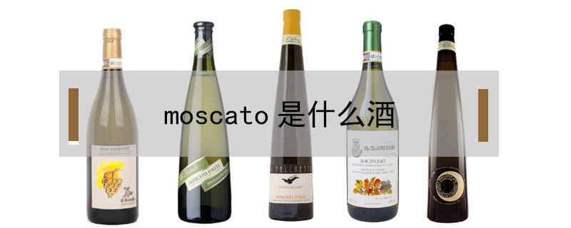 moscato是什么酒 moscato是什么酒多少钱