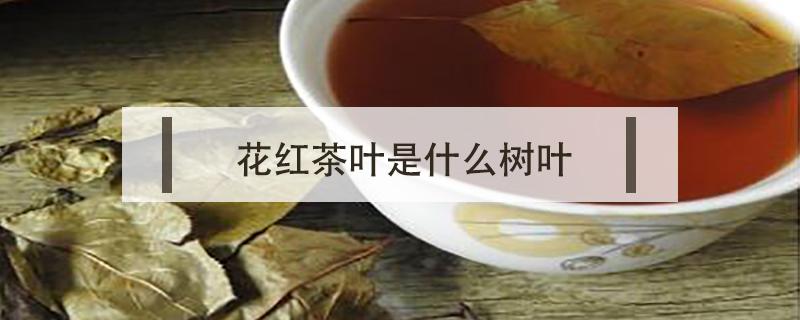 花红茶叶是什么树叶（花红茶树长什么样）