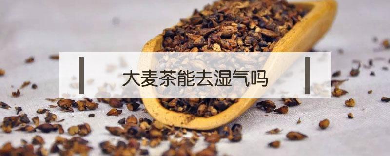 大麦茶能去湿气吗 大麦茶能祛湿吗?